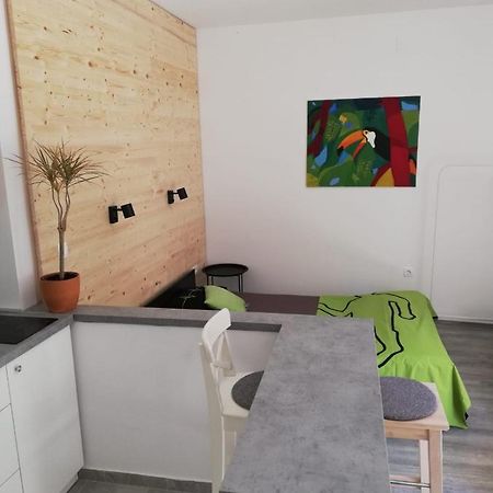 Studio Apartman Fleiss Apartment Самобор Екстериор снимка