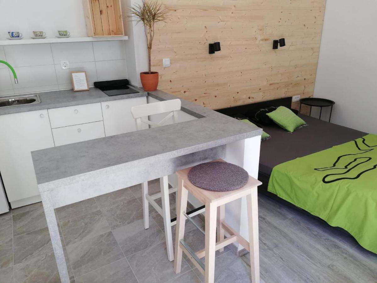 Studio Apartman Fleiss Apartment Самобор Екстериор снимка