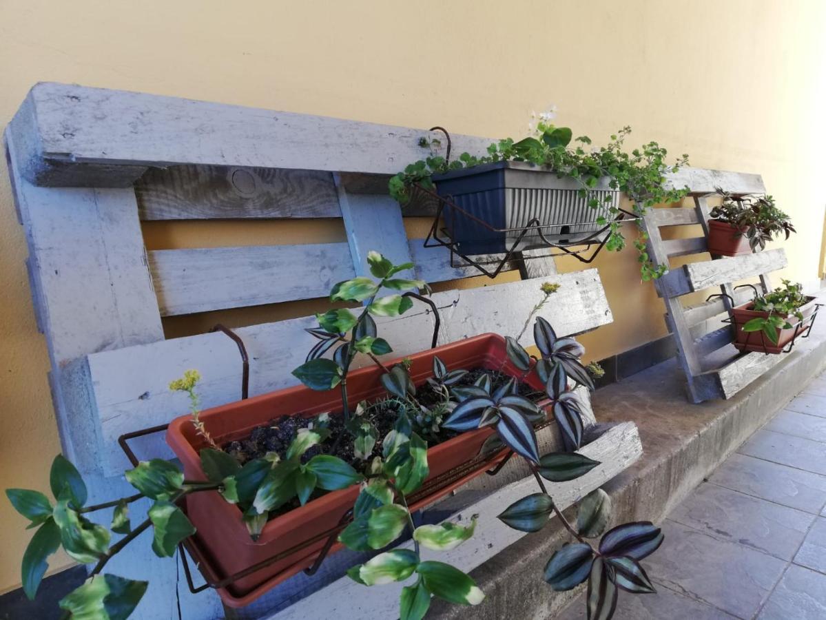 Studio Apartman Fleiss Apartment Самобор Екстериор снимка
