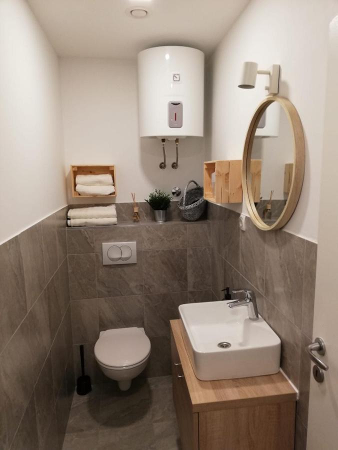Studio Apartman Fleiss Apartment Самобор Екстериор снимка
