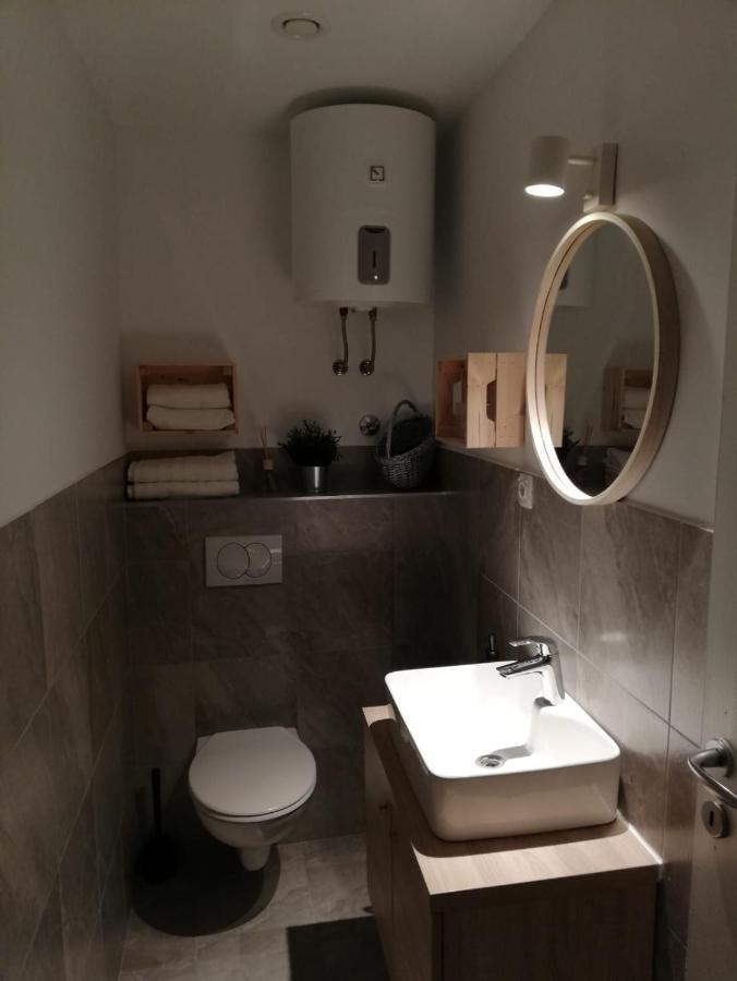 Studio Apartman Fleiss Apartment Самобор Екстериор снимка