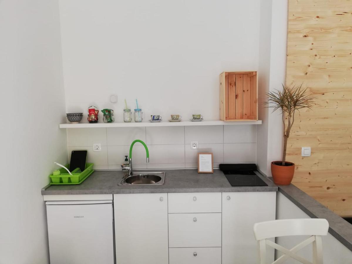 Studio Apartman Fleiss Apartment Самобор Екстериор снимка